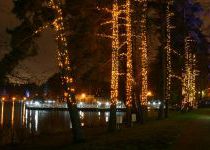 Деревья с подсветкой в КП Довиль